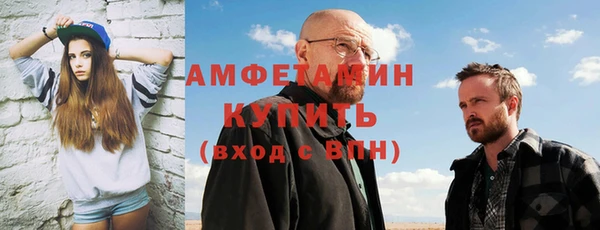 молекула духа Богородицк