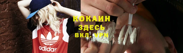 молекула духа Богородицк