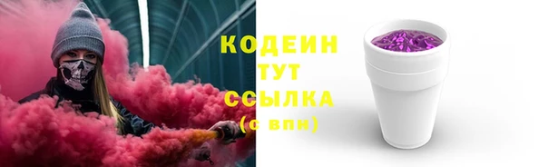 молекула духа Богородицк