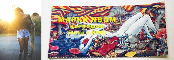 молекула духа Богородицк