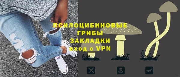 индика Белокуриха